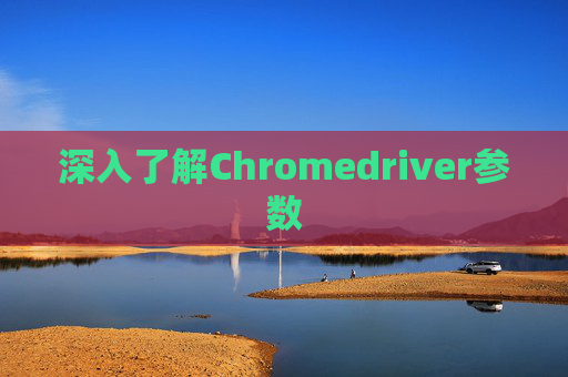 深入了解Chromedriver参数